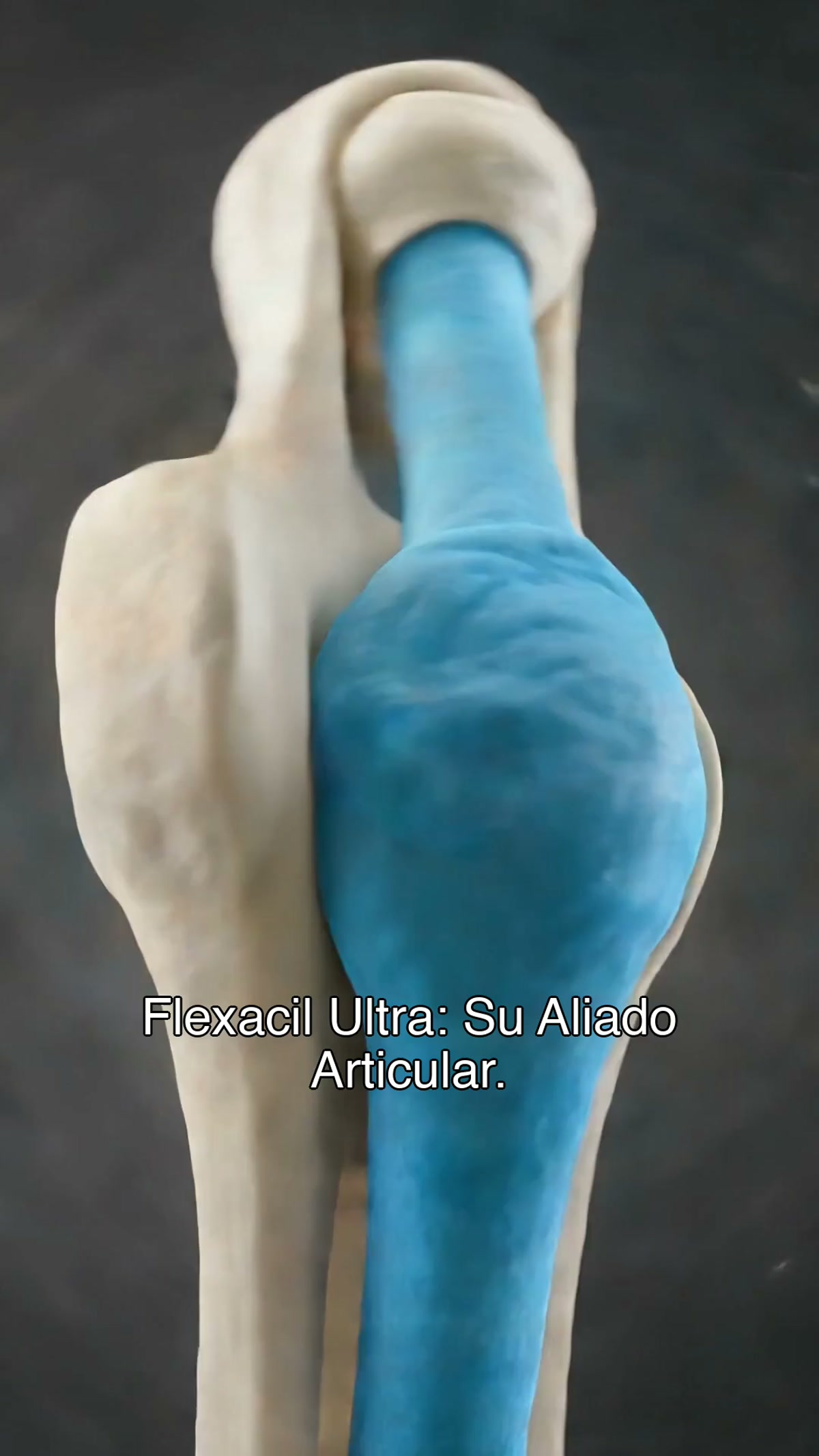 Ingredientes para dolor articular